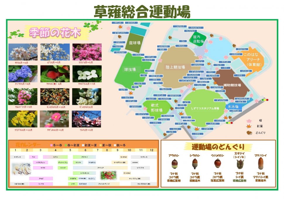 しずてつスタジアム草薙 (6)